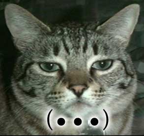 neko 01.jpg